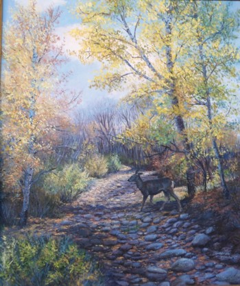 Clouds Over Grand Canyon